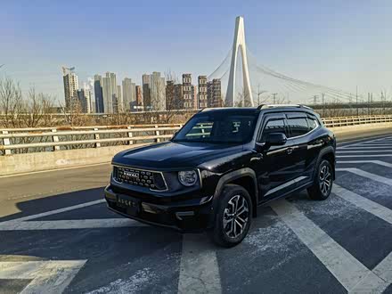 Haval H-Dog 2023 2023款 1.5T 两驱潮野版Plus