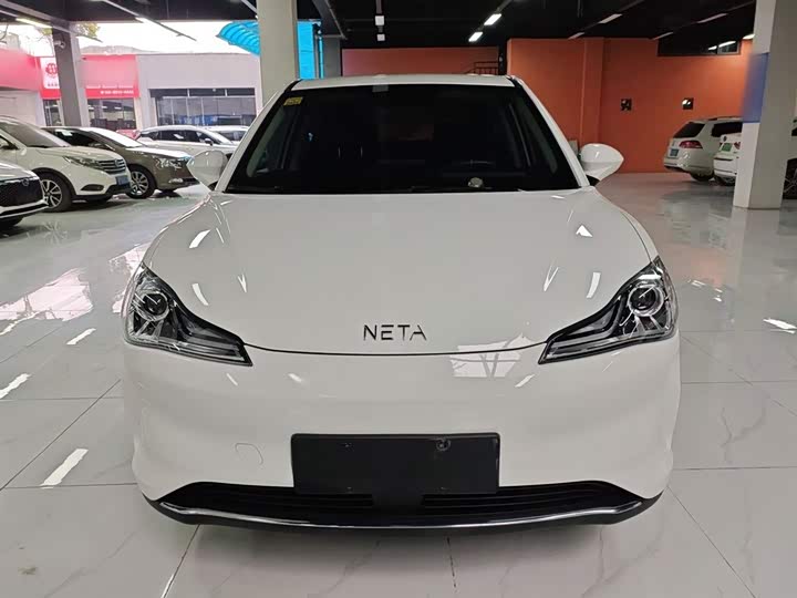 Hozon V 2022 2022款 潮 300 Lite 磷酸铁锂