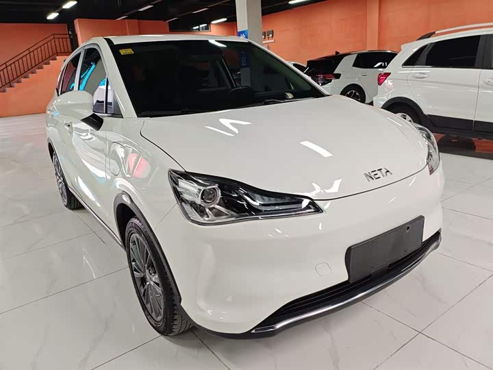 Hozon V 2022 2022款 潮 300 Lite 磷酸铁锂