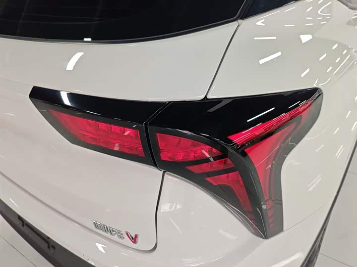 Hozon V 2022 2022款 潮 300 Lite 磷酸铁锂