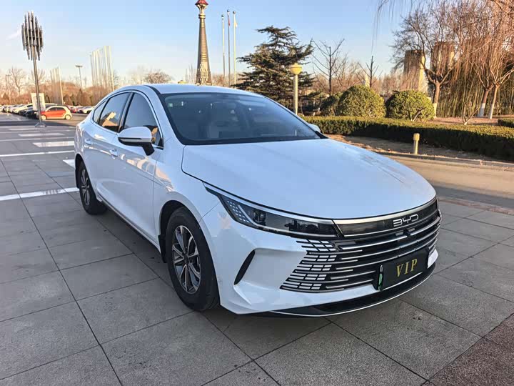 BYD Destroyer 05 2024 2024款 荣耀版 DM-i 55KM 豪华型