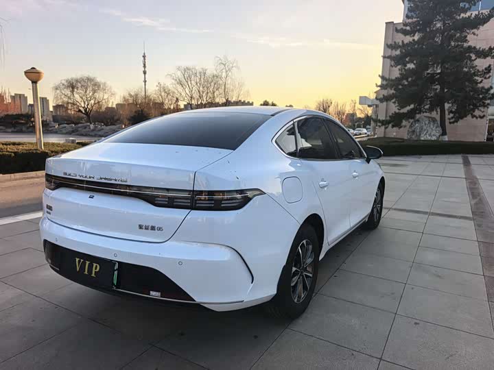 BYD Destroyer 05 2024 2024款 荣耀版 DM-i 55KM 豪华型