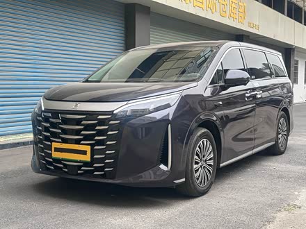 BYD Xia 2025 2025款 DM-i 1.5T 100km 超越型