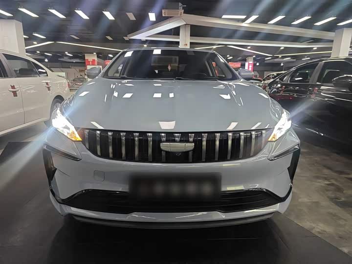 2024 Geely Binrui