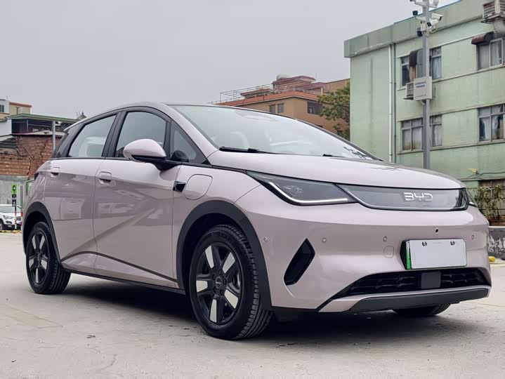 BYD Dolphin 2025 2025款 智驾版 410km 时尚版