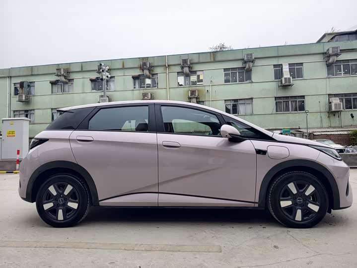 BYD Dolphin 2025 2025款 智驾版 410km 时尚版