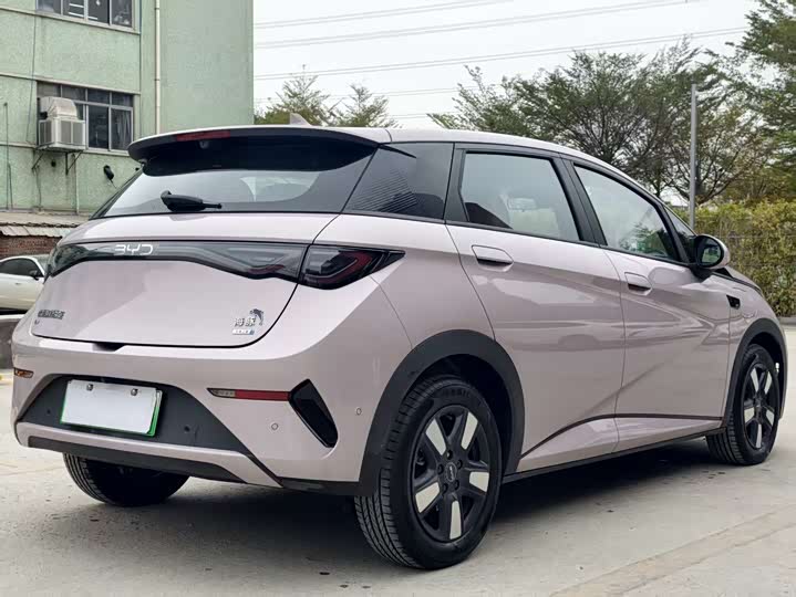 BYD Dolphin 2025 2025款 智驾版 410km 时尚版