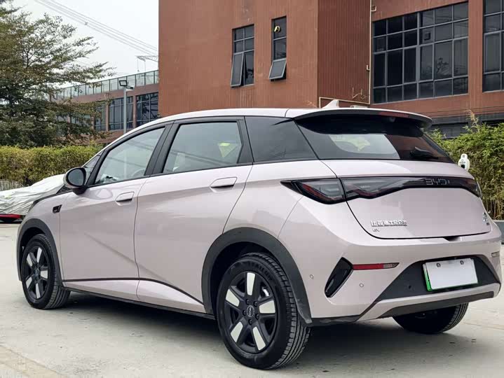 BYD Dolphin 2025 2025款 智驾版 410km 时尚版