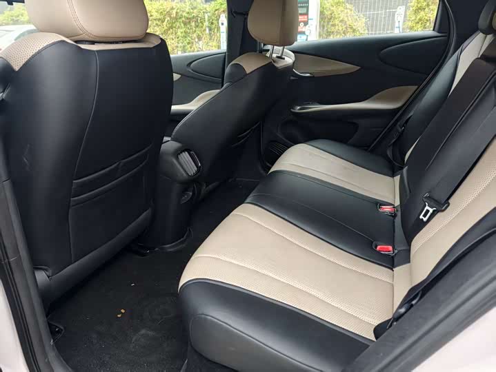 BYD Dolphin 2025 2025款 智驾版 410km 时尚版