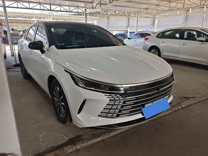 BYD Destroyer 05 2024 2024款 DM-i 55KM 领航荣耀版