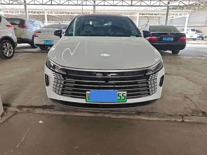 BYD Destroyer 05 2024 2024款 DM-i 55KM 领航荣耀版