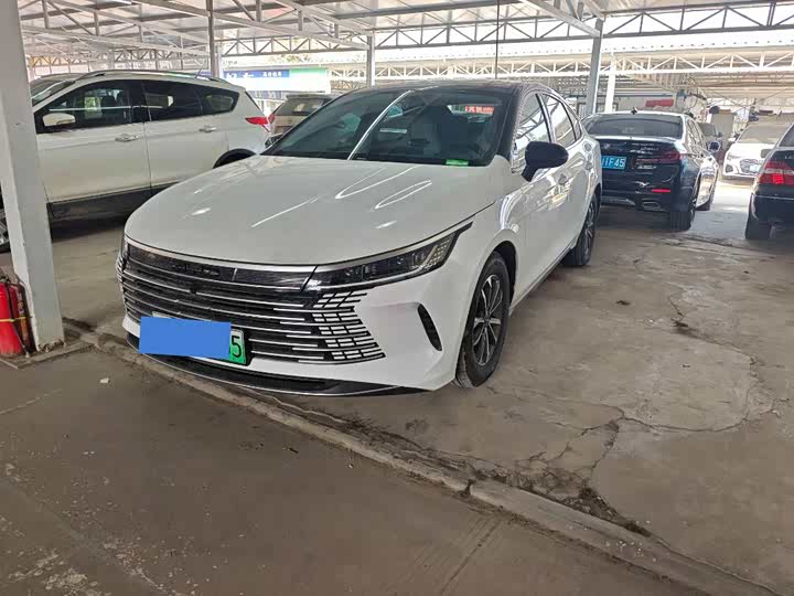 BYD Destroyer 05 2024 2024款 DM-i 55KM 领航荣耀版