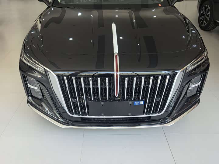 Hongqi H5 2025 2025款 2.0T 自动旗畅版