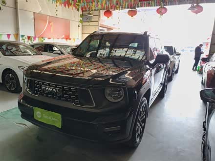 Haval H-Dog 2023 2023款 2.0T 四驱潮野Plus
