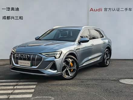 Audi e-tron 2021 2021款 50 quattro 臻选型