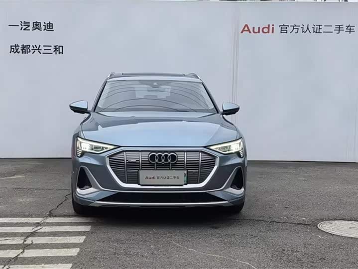 Audi e-tron 2021 2021款 50 quattro 臻选型
