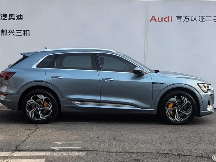Audi e-tron 2021 2021款 50 quattro 臻选型