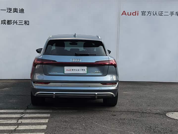 Audi e-tron 2021 2021款 50 quattro 臻选型