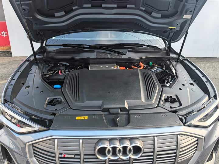 Audi e-tron 2021 2021款 50 quattro 臻选型