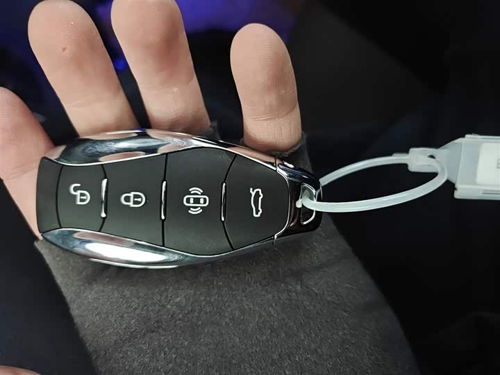 Hongqi EH7 2025 2025款 600 智选版