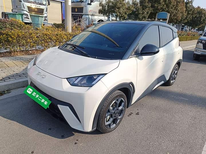 BYD Seagull 2025 2025款 305km 自由版