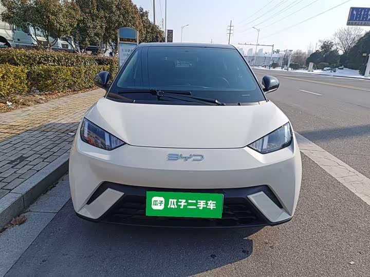 BYD Seagull 2025 2025款 305km 自由版