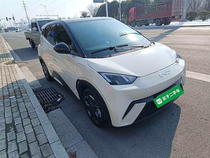 BYD Seagull 2025 2025款 305km 自由版