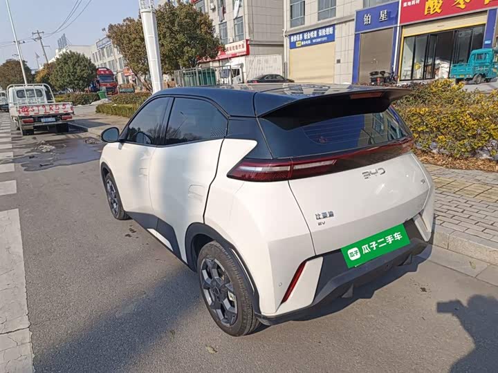 BYD Seagull 2025 2025款 305km 自由版