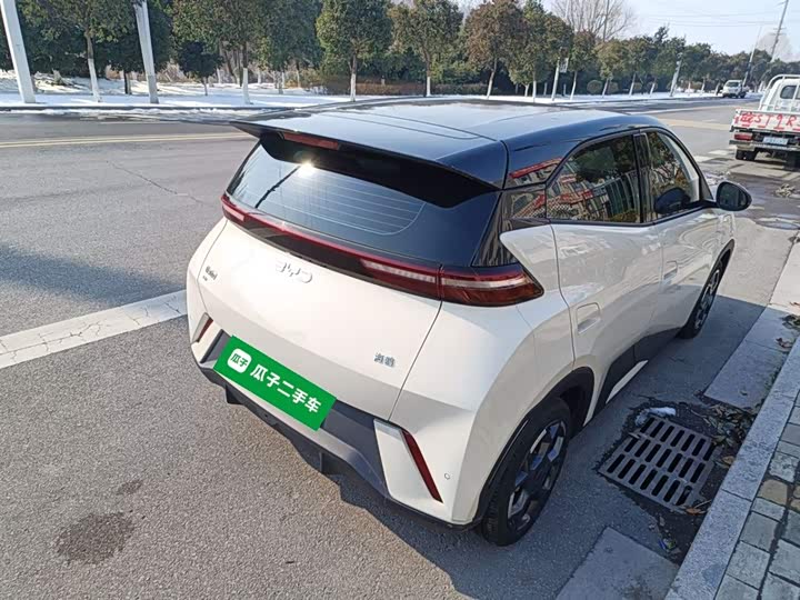 BYD Seagull 2025 2025款 305km 自由版