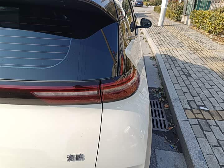 BYD Seagull 2025 2025款 305km 自由版