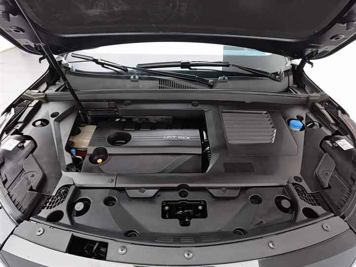 Exeed TXL 2023 2023款 300T 两驱星耀版