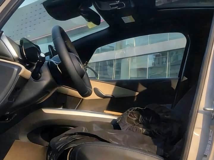 BYD Dolphin 2025 2025款 智驾版 410km 时尚版