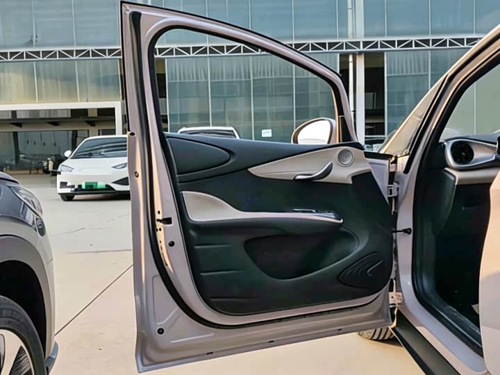 BYD Dolphin 2025 2025款 智驾版 410km 时尚版