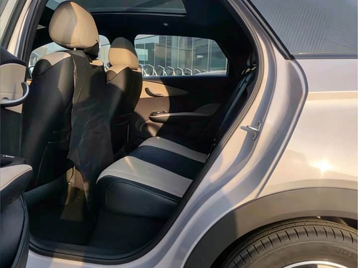 BYD Dolphin 2025 2025款 智驾版 410km 时尚版