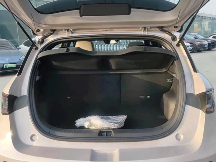 BYD Dolphin 2025 2025款 智驾版 410km 时尚版