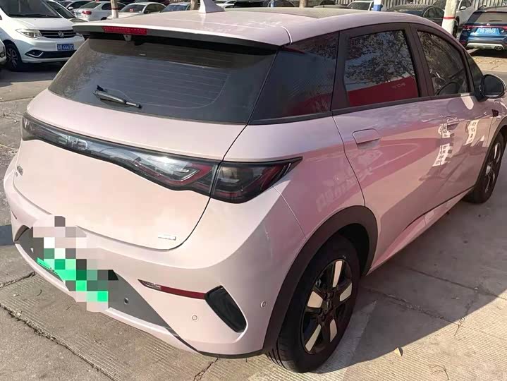 BYD Dolphin 2025 2025款 智驾版 410km 时尚版