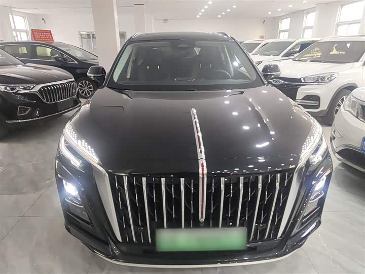 Hongqi HS3 Hybrid 2024 2024款 115km 劲为版