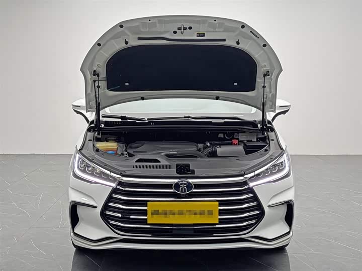 BYD Song Max 2021 2021款 升级版 1.5T 自动尊贵型 7座