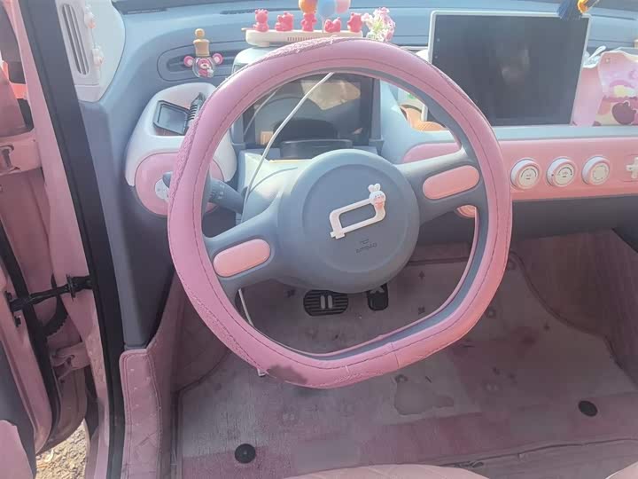 Bestune Pony 2025 2025款 222km 伶俐马