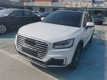 Audi Q2L e-tron 2019 2019款 Q2L e-tron 纯电智享型