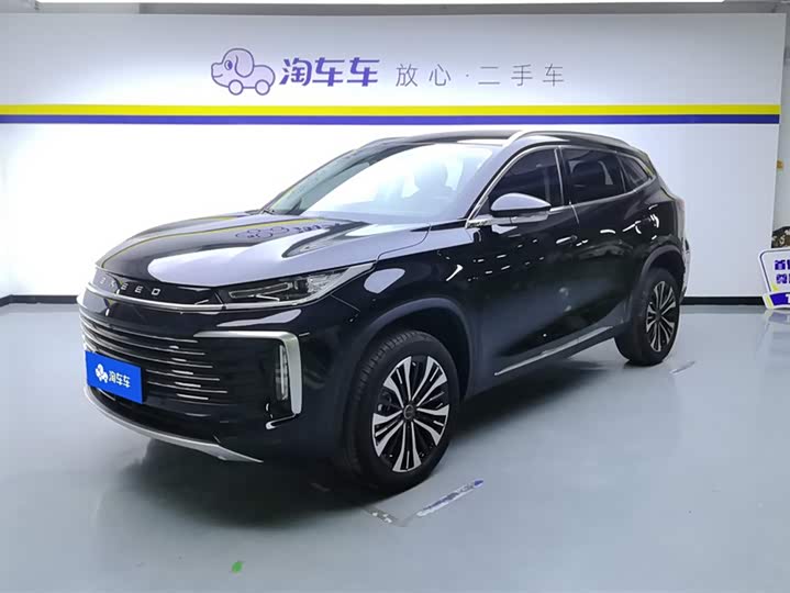 Exeed TXL 2024 2024款 300T 两驱星耀版