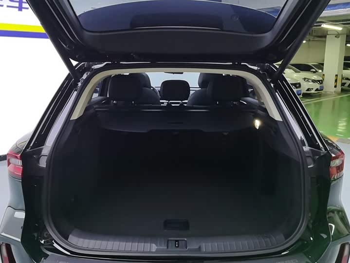 Exeed TXL 2024 2024款 300T 两驱星耀版