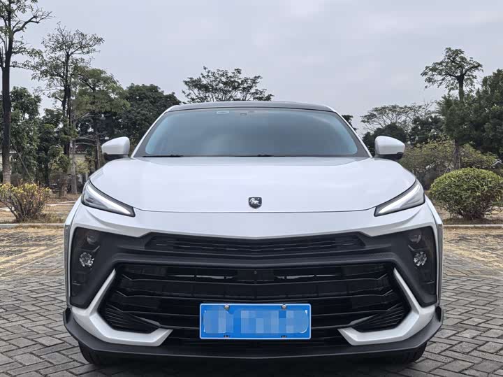 Dongfeng Forthing T5 EVO 2024 2024款 1.5TD DCT星空版