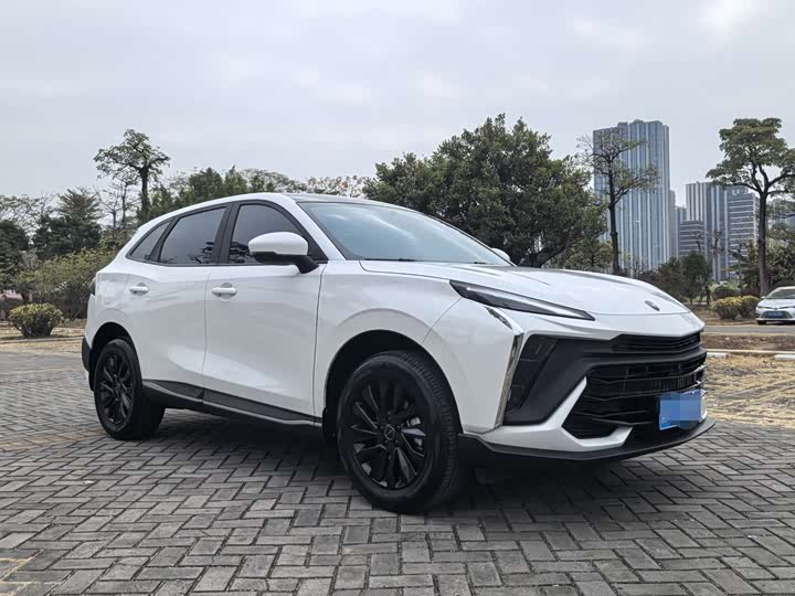 Dongfeng Forthing T5 EVO 2024 2024款 1.5TD DCT星空版