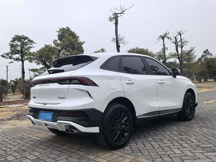 Dongfeng Forthing T5 EVO 2024 2024款 1.5TD DCT星空版