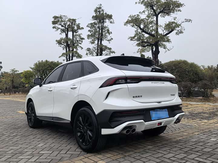 Dongfeng Forthing T5 EVO 2024 2024款 1.5TD DCT星空版