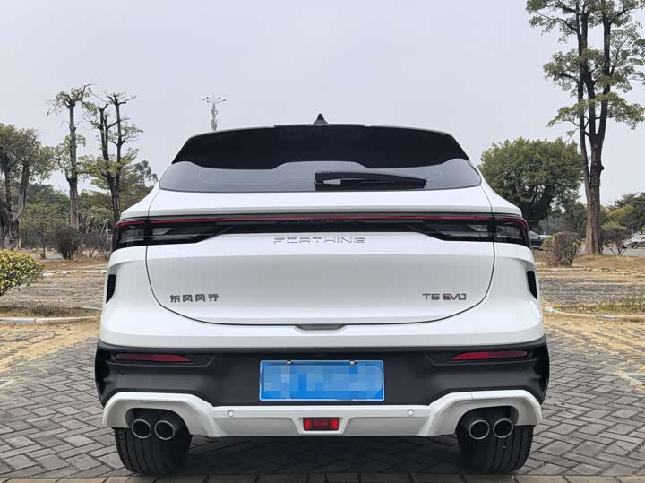 Dongfeng Forthing T5 EVO 2024 2024款 1.5TD DCT星空版