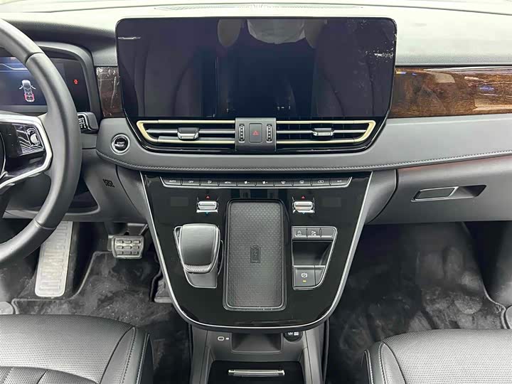 Hongqi HQ9 2023 2023款 2.0T 智联旗享版