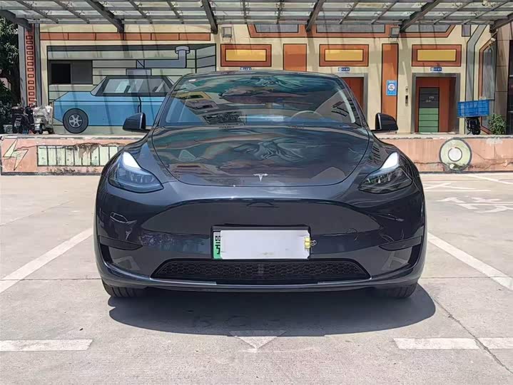 Tesla Model Y 2024 2024款 后轮驱动版