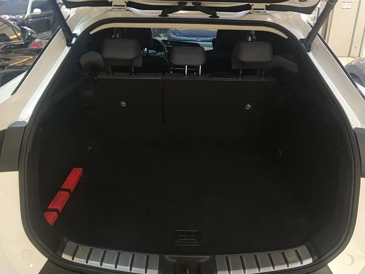 Lexus RZ 2023 2023款 450e 四驱纵享版